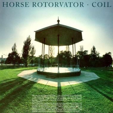 Coil -  Horse Rotorvator